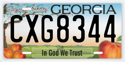 GA license plate CXG8344