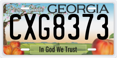 GA license plate CXG8373