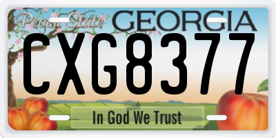 GA license plate CXG8377