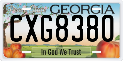 GA license plate CXG8380