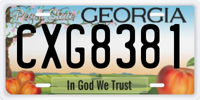 GA license plate CXG8381