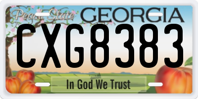 GA license plate CXG8383