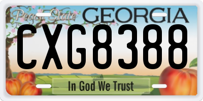 GA license plate CXG8388