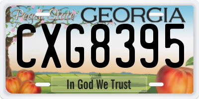 GA license plate CXG8395