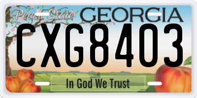 GA license plate CXG8403