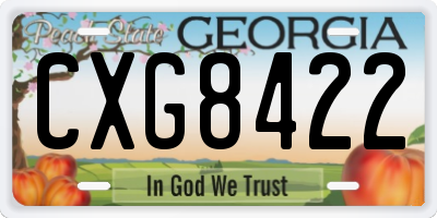 GA license plate CXG8422