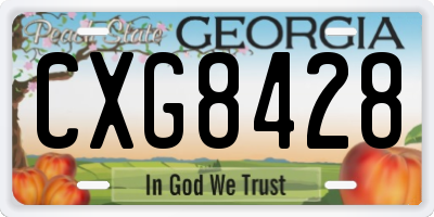 GA license plate CXG8428