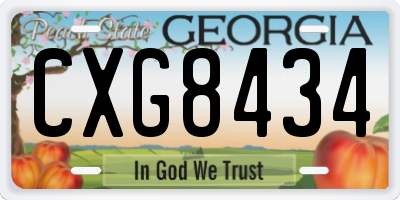 GA license plate CXG8434