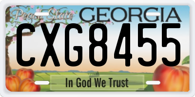 GA license plate CXG8455