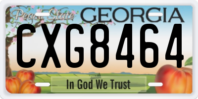 GA license plate CXG8464