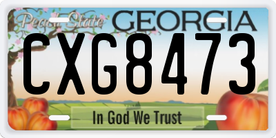 GA license plate CXG8473