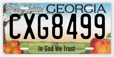 GA license plate CXG8499