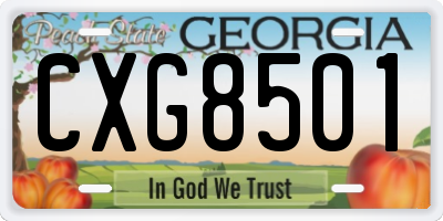 GA license plate CXG8501
