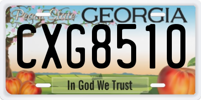 GA license plate CXG8510