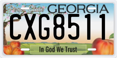 GA license plate CXG8511