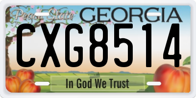 GA license plate CXG8514