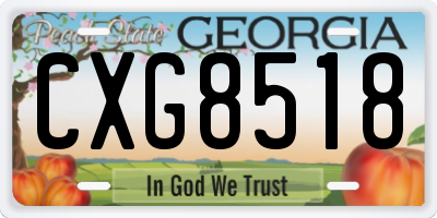 GA license plate CXG8518