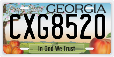 GA license plate CXG8520