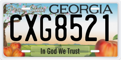 GA license plate CXG8521