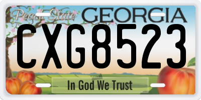 GA license plate CXG8523