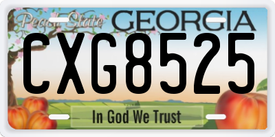 GA license plate CXG8525