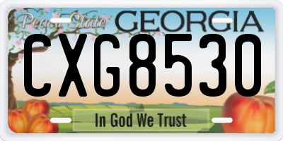 GA license plate CXG8530