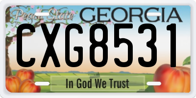 GA license plate CXG8531