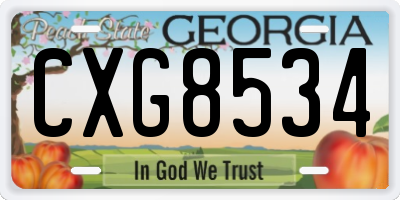 GA license plate CXG8534