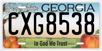 GA license plate CXG8538