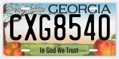 GA license plate CXG8540