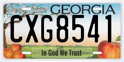 GA license plate CXG8541