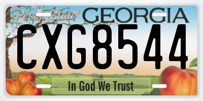 GA license plate CXG8544