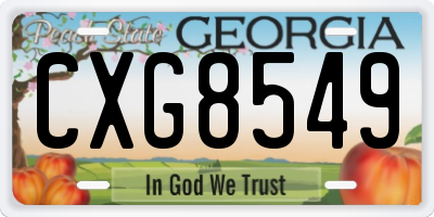 GA license plate CXG8549