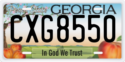 GA license plate CXG8550