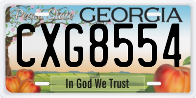 GA license plate CXG8554