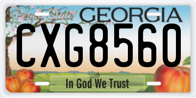 GA license plate CXG8560