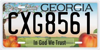 GA license plate CXG8561