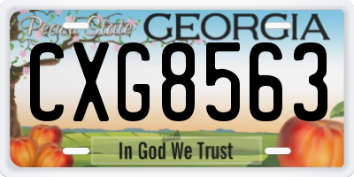 GA license plate CXG8563