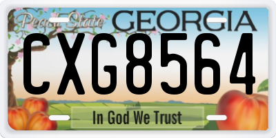 GA license plate CXG8564