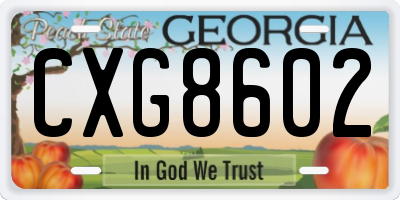 GA license plate CXG8602