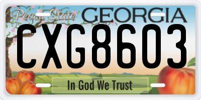 GA license plate CXG8603