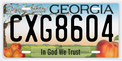 GA license plate CXG8604