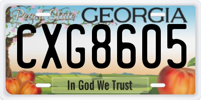 GA license plate CXG8605