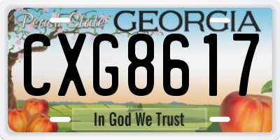 GA license plate CXG8617