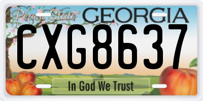 GA license plate CXG8637