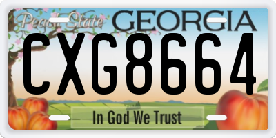 GA license plate CXG8664