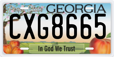 GA license plate CXG8665