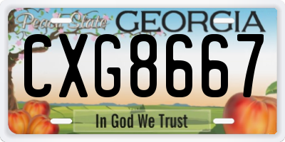 GA license plate CXG8667