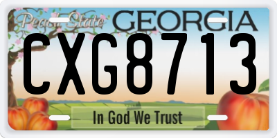 GA license plate CXG8713