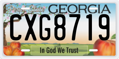 GA license plate CXG8719